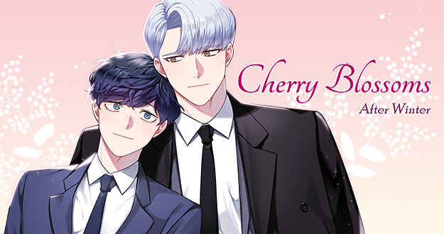 Cherry Blossoms After Winter